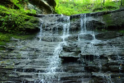 DSC_2783 (Large).JPG